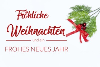 Christmas greetings: Greeting card with the inscription MERRY CHRISTMAS AND A HAPPY NEW YEAR