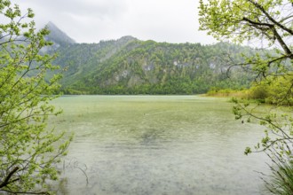 Landscape of Lake Offensee on a rainy day in spring, Salzkammergut, Austria