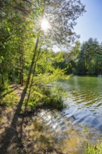 Landscape of a little lake on a sunny day in spring, Upper Palatinate, Bavaria, Germany