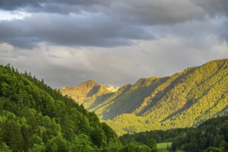 View into the mountains next to Lake Traunsee on a rainy day in spring, Traunstein summit,