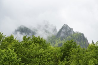View into the mountains next to Lake Offensee on a rainy day in spring, Salzkammergut, Austria,