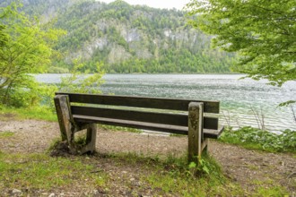 Park bench standing beside beside and with view onto Lake Offensee on a cloudy day in spring,
