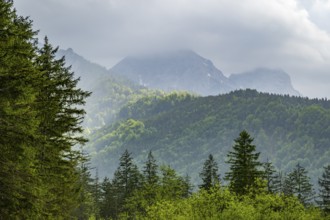 View into the mountains next to Lake Almsee on a rainy day in spring, Traunstein summit,
