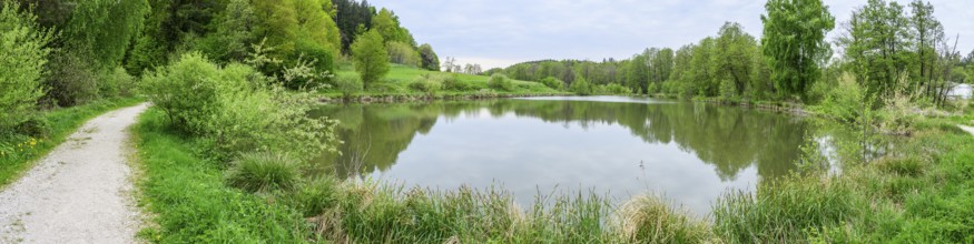 Landscape of a little lake on a cloudy day in spring, Upper Palatinate, Bavaria, Germany