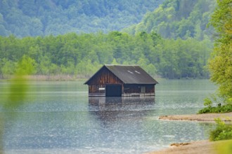 Fishing hut in lake Almsee, Grünau, Almtal, Salzkammergut, Upper Austria, Austria