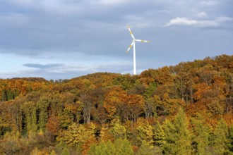 Autumn landscape in Elfringhauser Switzerland, south of Velbert-Langenberg, wind turbine, Germany