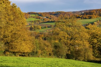 Autumn landscape in Elfringhauser Switzerland, south of Velbert-Langenberg, Germany