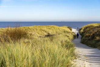 East beach of the East Frisian island of Spiekeroog, beach access through the dunes of Lower