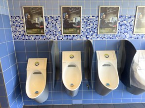 Recruitment for the Bundeswehr, in a motorway toilet above the urinals in the men's toilet, Lower