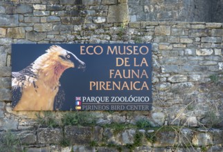 Eco Museum of Pyrenees fauna, Ainsa, Aínsa-Sobrarbe, Huesca province, Aragon, Spain