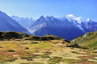 Autumnal landscape with snow-covered Mont Blanc massif in the background, Chamonix-Mont-Blanc,