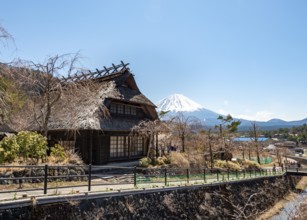 Iyashinosato open-air museum, old Japanese village with traditional houses, at the back volcano Mt.
