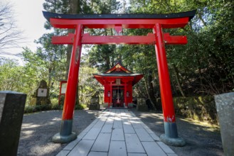 Red Torii and Small Shrine, Hakoneshichifukujin, Hakone Shrine, Shinto Shrine, with Sun Star,