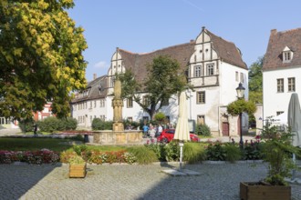 Cathedral Square with historic buildings and Ekkehard fountain, Naumburg (Saale), Saxony-Anhalt,