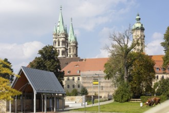South view of Naumburg Cathedral, Naumburg (Saale), Saxony-Anhalt, Germany