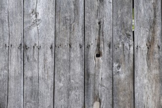 Detail of an old wooden door, texture, background, Münsterland, North Rhine-Westphalia, Germany