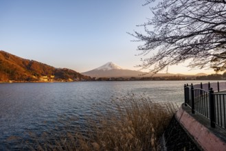 Kawaguchi Lake waterfront, view of Mount Fuji volcano at sunset, Yamanashi Prefecture, Japan