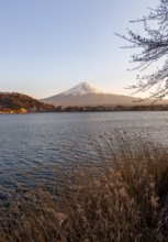 Lake Kawaguchi, view of Mount Fuji volcano at sunset, Yamanashi Prefecture, Japan