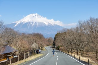 Young man on street, road leading to Mount Fuji volcano, wanderlust, Yamanashi Prefecture, Japan