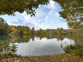 View over castle pond to house Schloss Wittringen in the Wittringer Wald recreation area, Gladbeck,