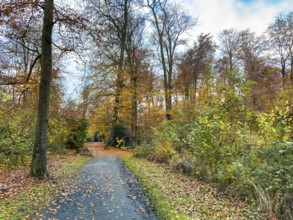 Path footpath through sparse forest in palace gardens Park von Haus Wittringen Wittringer Wald