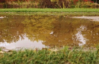 Reflection on a lake in autumn, Germany