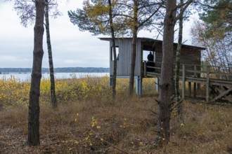 Observation tower, Tister Bauernmoor, Tiste, Samtgemeinde Sittensen, Lower Saxony, Germany
