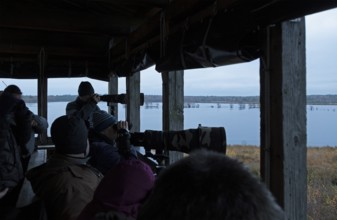 Bird watchers in the observation tower, Tister Bauernmoor, Tiste, Samtgemeinde Sittensen, Lower