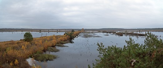 View from the observation tower, Photomerge, Tister Bauernmoor, Tiste, Samtgemeinde Sittensen,