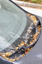 Windshield of a car in autumn, Germany
