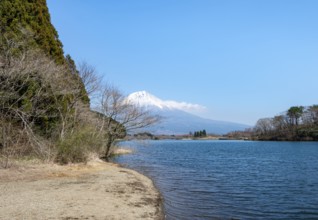 View of Mount Fuji volcano and Lake Tanuki on the lakeside, Fujinomiya, Shizuoka, Japan