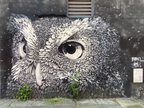 Street art mural with the head of an eagle owl, Buenos Aires, Argentina