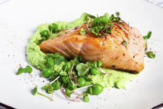 Delicious grilled salmon is placed elegantly on creamy green pea puree. Fresh microgreens and peas