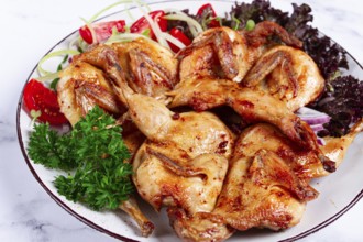 Baked quail, served on a plate with crispy lettuce leaves, fresh tomatoes and herbs, on a white