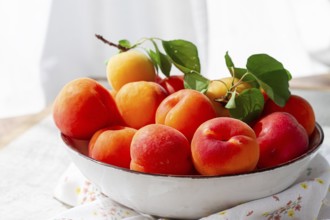 Fresh apricots in a bowl, on a bright table, natural light, top view, no people