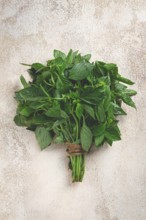 Bouquet of fresh green basil, on the table, top view, no people