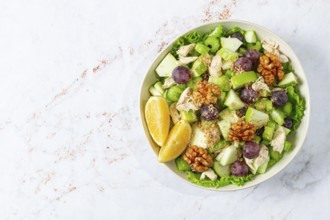Fresh Waldorf salad, celery stalk with chicken, apple and walnuts, grapes, herbs, homemade, without