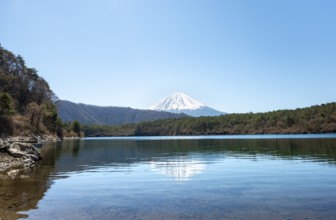 Lake Saiko and volcano Mt. Fuji, Minamitsuru District, Yamanashi Prefecture, Japan