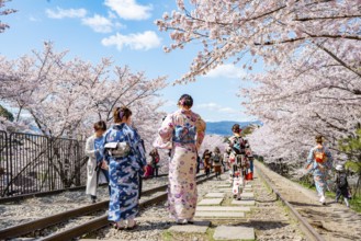 Keage Incline, Japanese women in kimono, cherry trees blooming on disused tracks, Hanami, cherry