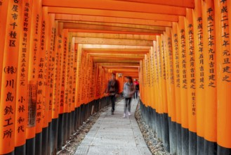 Visitors on a journey through hundreds of red traditional torii gates, Fushimi Inari-taisha, Shinto