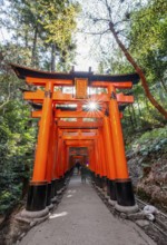 Visitors on a journey through hundreds of red traditional torii gates, Fushimi Inari taisha, Shinto