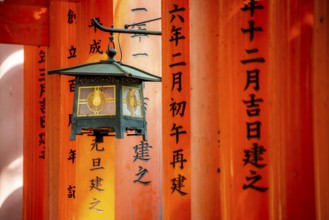 Lantern between red torii gates, hundreds of red traditional torii gates, Fushimi Inari-taisha,