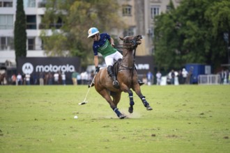 Portrait of Adolfo Cambiaso known as Poroto from Team Natividad Dolfina at the 132nd Argentine Open