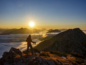 Mountaineer looking at alpine panorama at sunset, fog in the valley, Hochstaufen, Chiemgau Alps,