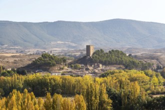 Medieval village of Navardún, Val d'Onsella, Zaragoza province, Aragon, Spain