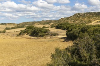 Farming landscape arable land with rocky outcrops, Los Bañales, Layana, Zaragoza proviene, Aragon,