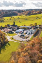 Rural farm surrounded by colorful autumn trees and extensive green meadows, Haselstaller Hof,