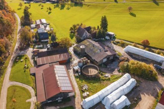 Aerial view of a farm with buildings and agricultural land in autumn surroundings, Haselstaller