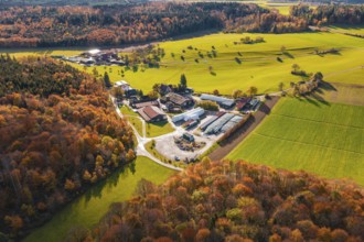 Idyllic farm surrounded by autumn trees and green fields, Haselstaller Hof, Gechingen, Germany