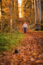 A person strolls along an autumn trail surrounded by colorful leaves, Gechingen, Calw district,